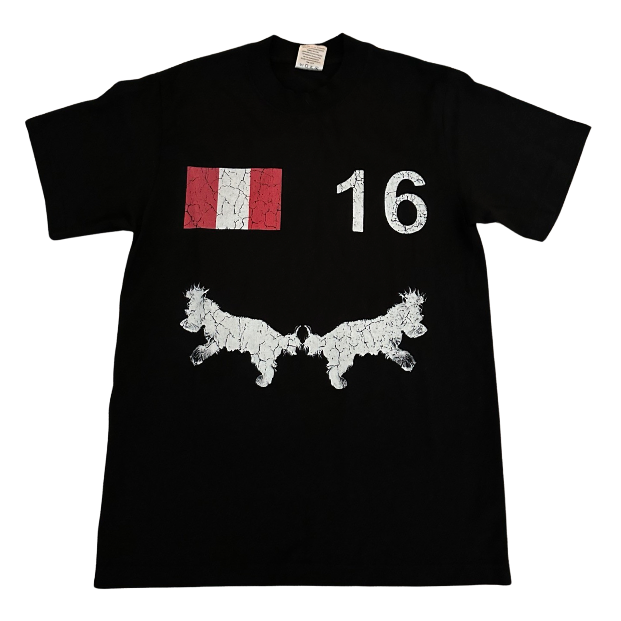 16 shirt