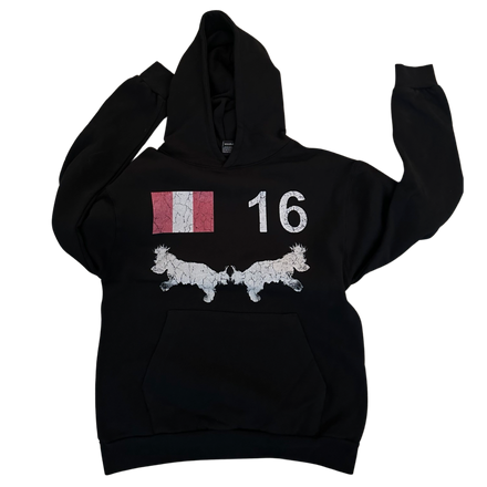 16 hoodie