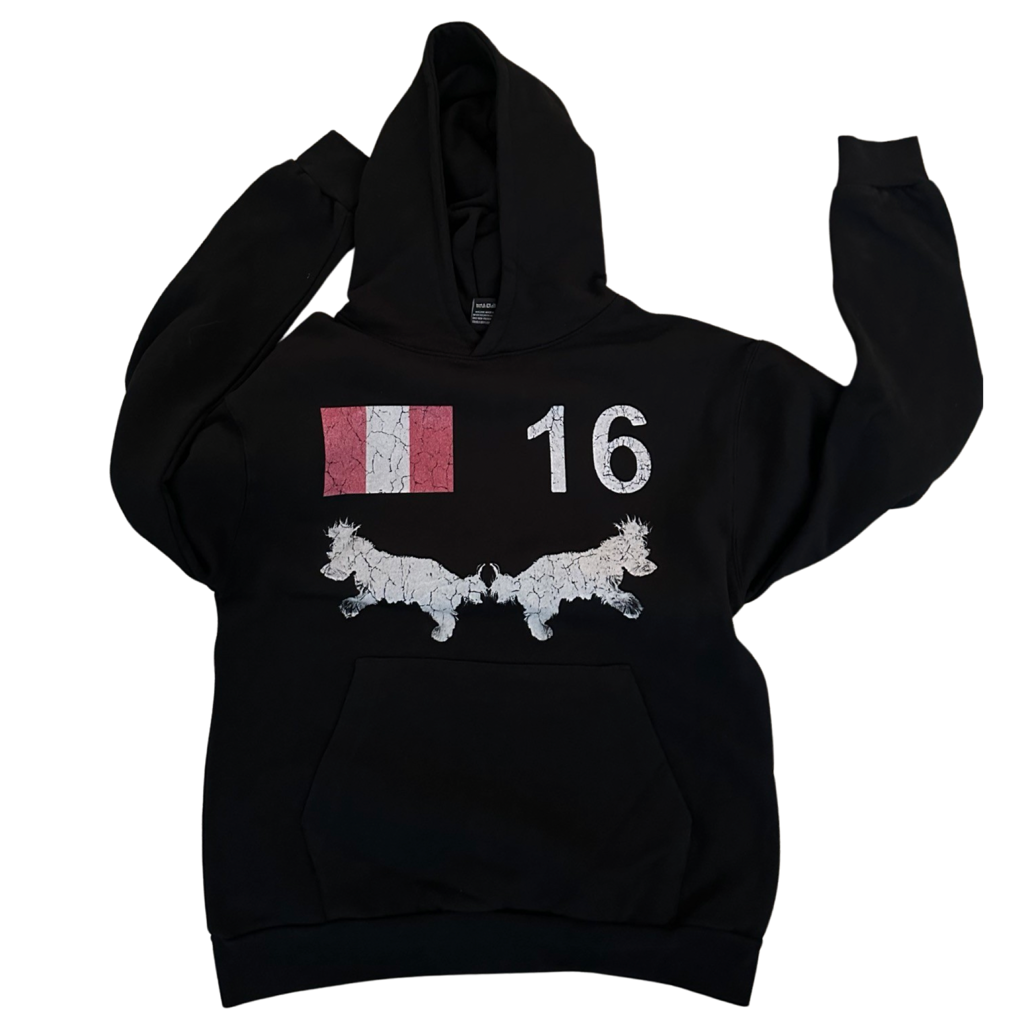 16 hoodie